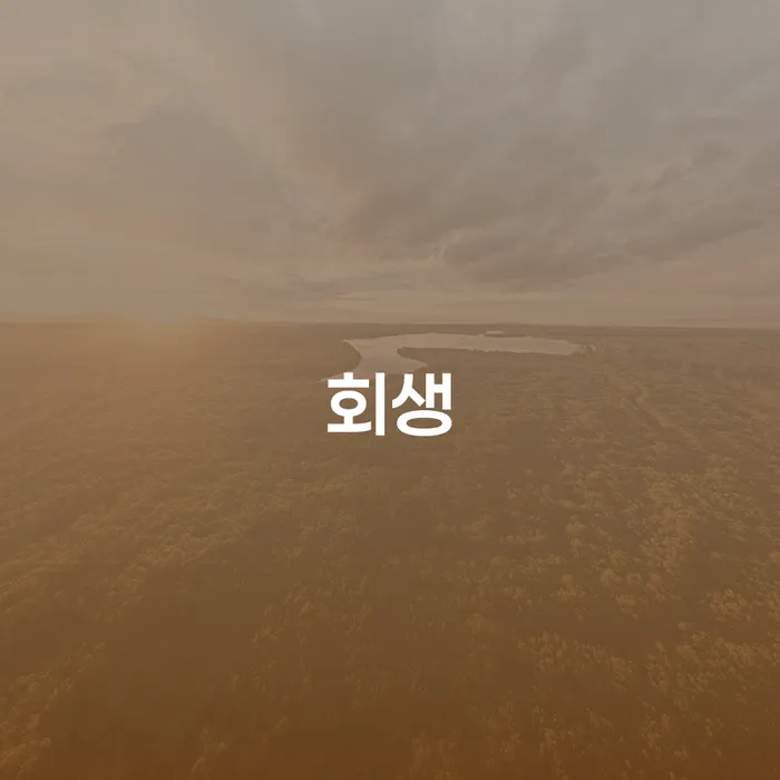 지급명령개인회생 개인회생 제도 알고신청하기
