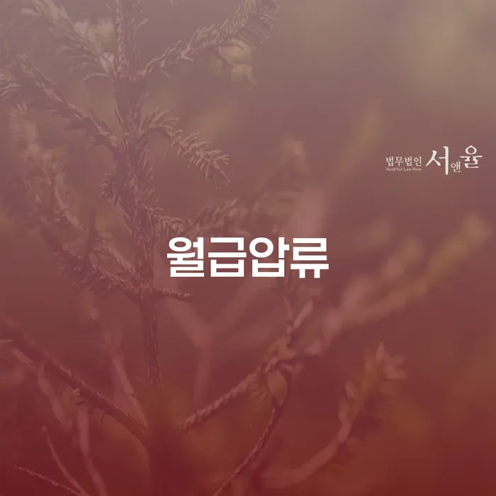 개인회생파산신청 추심 대응법 견적체크