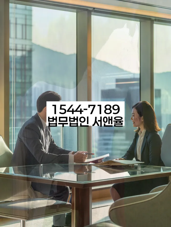 신용불량자사면