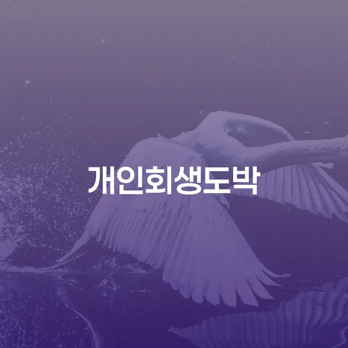 강진군 무직자개인회생 빚 해결할 체크리스트
