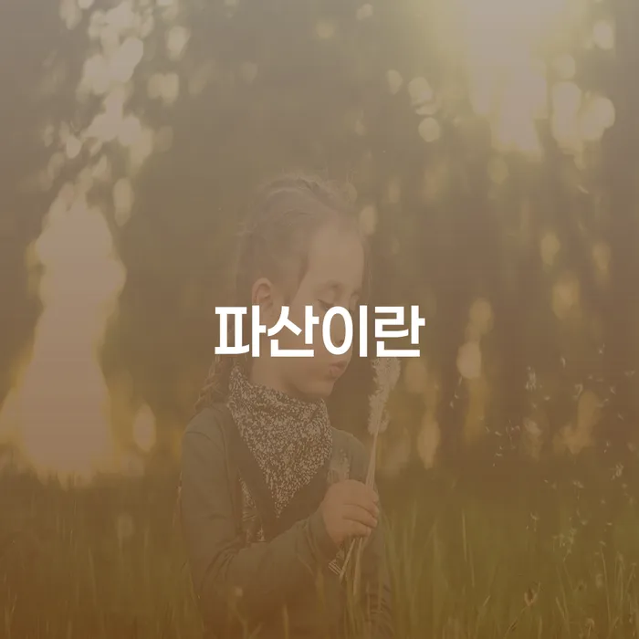 부여군 개인회생전문변호사 연체 채무 신속해결방법 노하우들