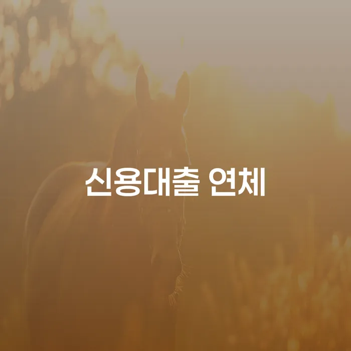 공주시 개인회생 빚갚는 방법 알아봐야 할 사항