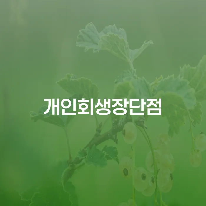 임실군 빚독촉 개인회생 문제해결방법 있는지확인