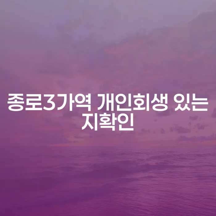 종로3가역 개인회생 있는지확인