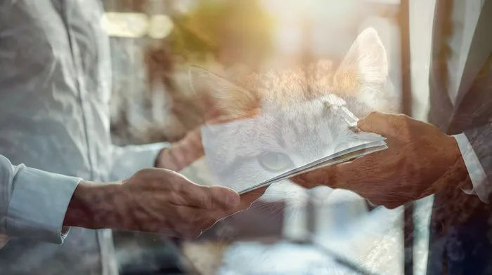 금산군 개인회생과 파산 비교